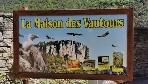 FONTAINES PETRIFIANTES