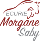 ECURIE MORGANE SABY